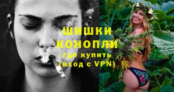 гидра Белокуриха