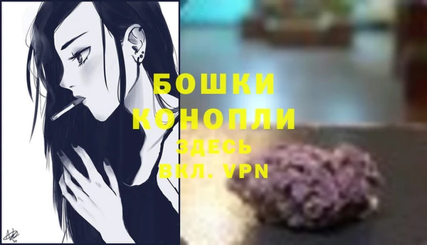 гидра Белокуриха