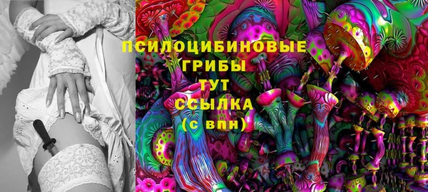 гидра Белокуриха